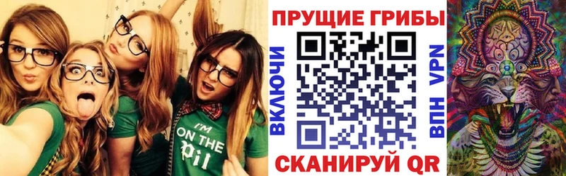 Псилоцибиновые грибы GOLDEN TEACHER  нарко площадка Telegram  Белоозёрский  хочу наркоту 