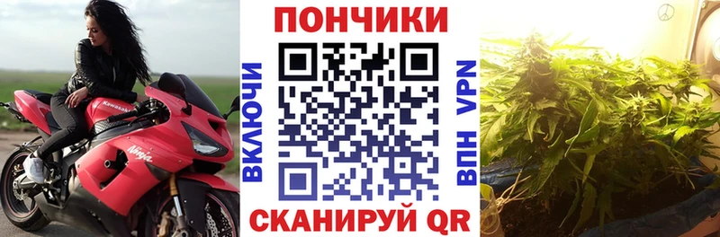 kraken зеркало  Белоозёрский  Бошки марихуана сатива 